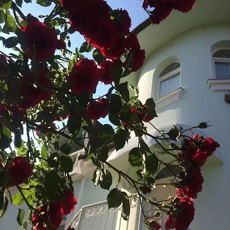 Pensjonat Valeria 3*